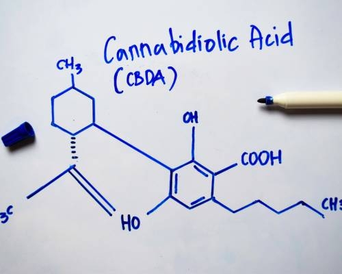CBDA acide cannabidiolique