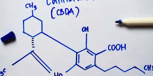 CBDA acide cannabidiolique