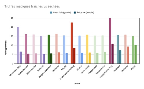 Comment faire sécher les truffes hallucinogènes