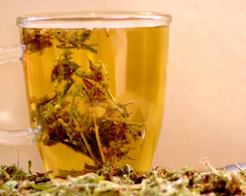 Faire du Thé au Cannabis